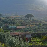 Train running around Mt Etna